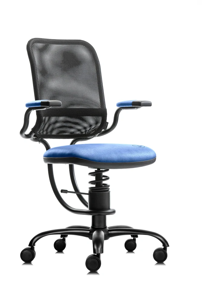 SpinaliS ERGONOMIC