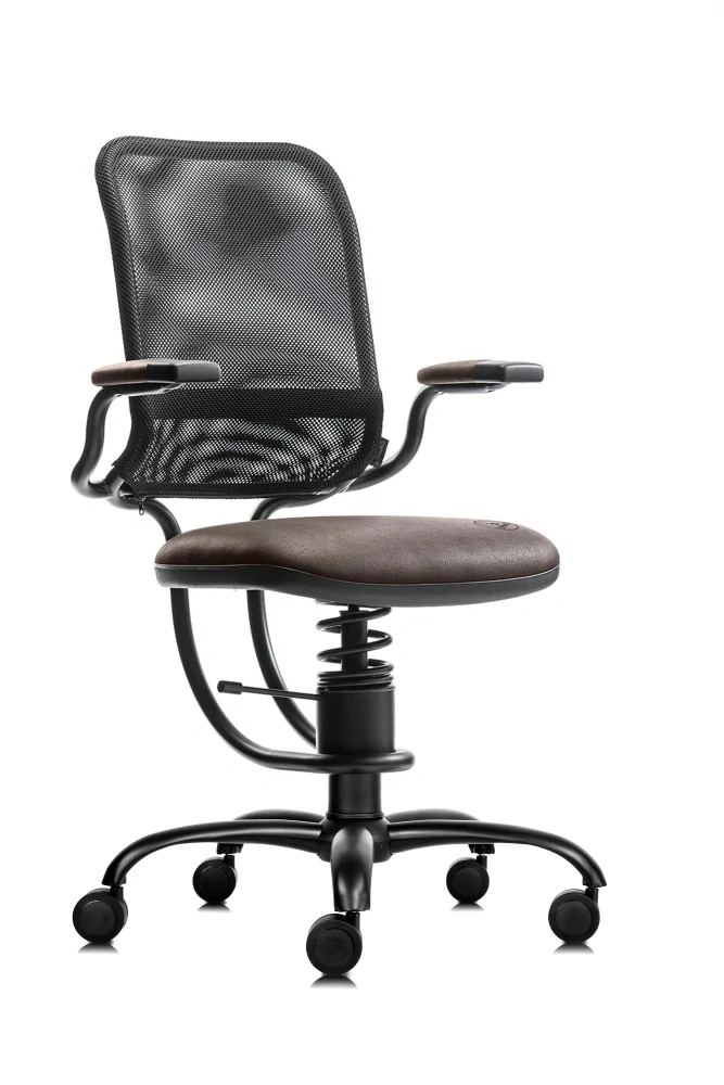 SpinaliS ERGONOMIC