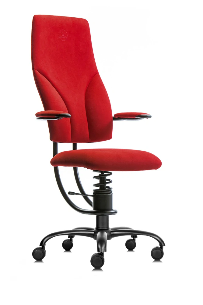 SpinaliS NAVIGATOR