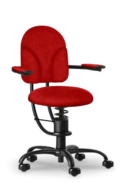 SpinaliS BASIC