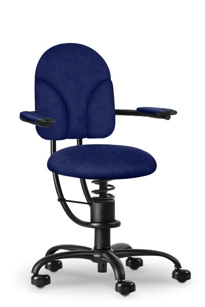 SpinaliS BASIC