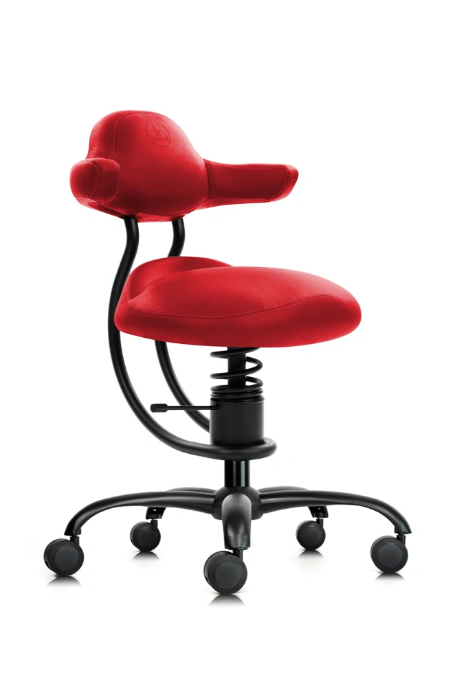 SpinaliS EXPLORER