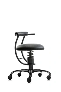 SpinaliS SMART