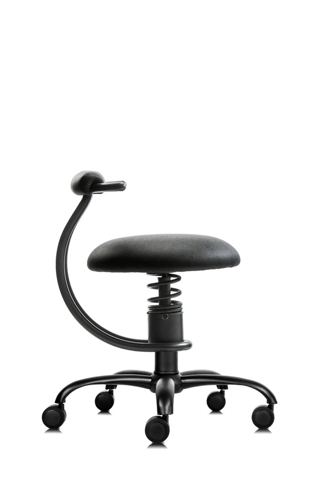 SpinaliS SMART