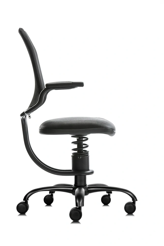 SpinaliS ERGONOMIC