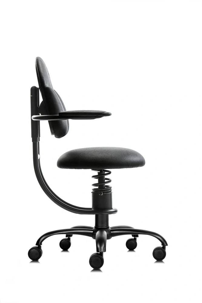 SpinaliS BASIC
